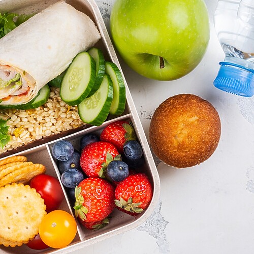 Balanced packed lunch with a wrap, cucumber slices, grains, crackers, berries, banana, apple, muffin, and water bottle.