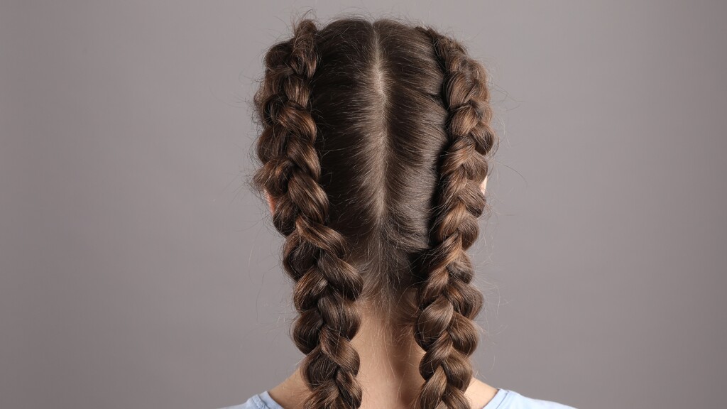 Back view of brown hair styled into two neat Dutch braids with a center part.