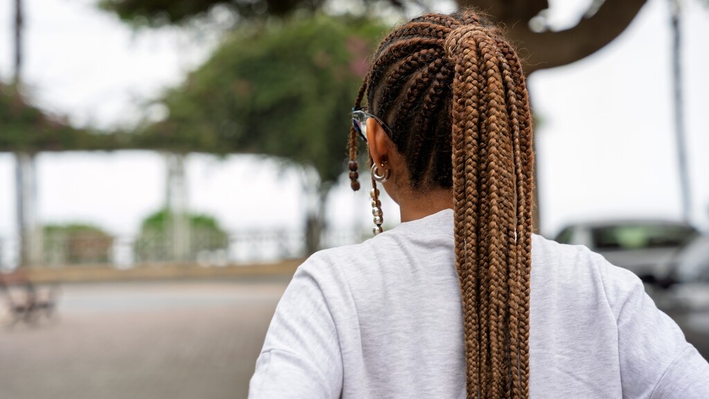 Back view of a long braided ponytail hairstyle on a woman outdoors.