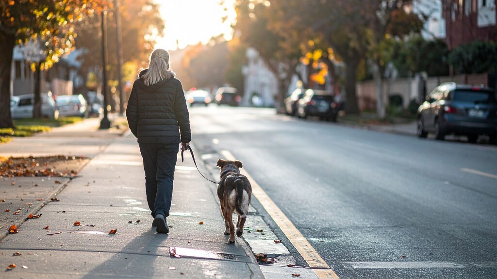 Person walking a dog on a neighborhood sidewalk in the evening.