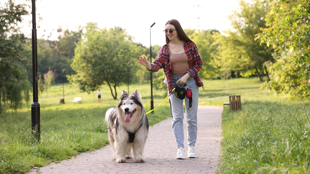 Woman walking a large dog in a sunny park, showing a simple post-meal walk to support blood sugar balance.
