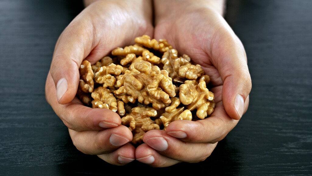 A small handful of raw walnuts held in cupped hands.