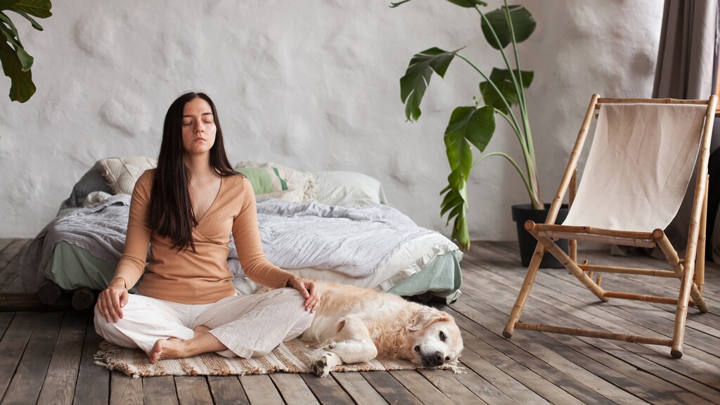 Woman meditating on a rug beside a relaxed dog in a peaceful bedroom.