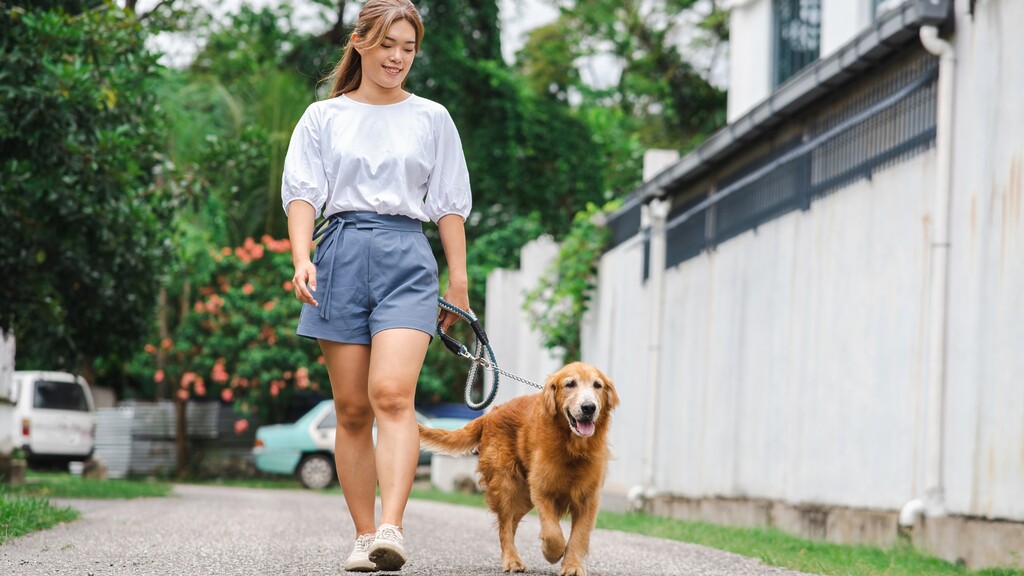 3. Woman walking a golden retriever outside, showing gentle daily movement to help reduce stress.