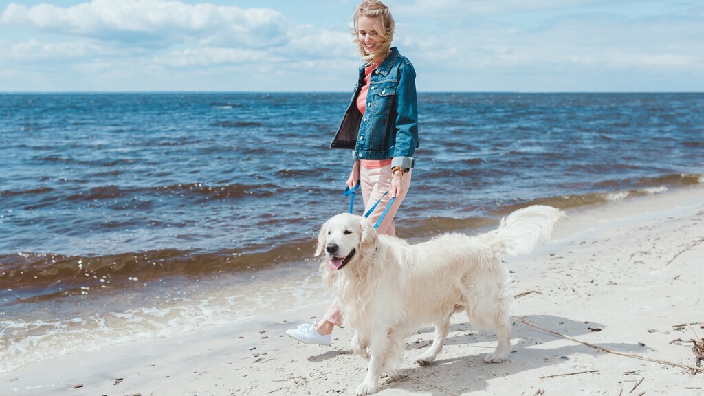 Woman walking a golden retriever on the beach, using a calming walk as a parenting circuit breaker.