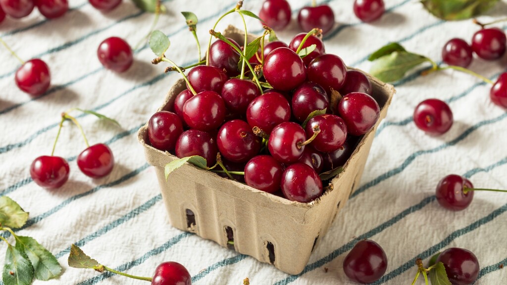 Fresh tart cherries in a carton on a kitchen towel.