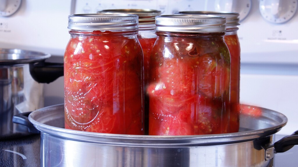 Glass jars filled with whole tomatoes being processed in a pot of hot water.