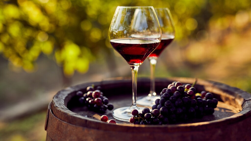 Two glasses of dry red wine with grapes on a wooden barrel in a vineyard.