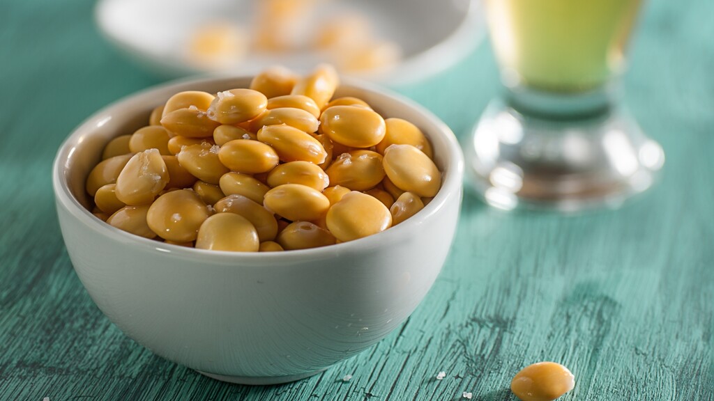 Bowl of brined yellow lupini beans served on a turquoise wooden table.