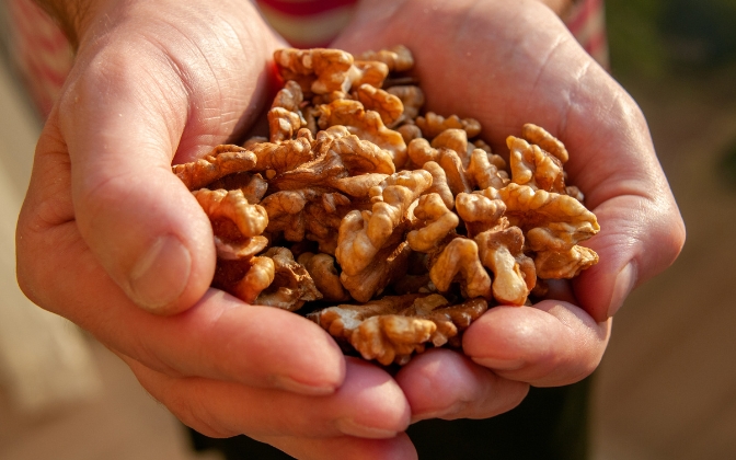 A "Smarter" Handful of Walnuts
