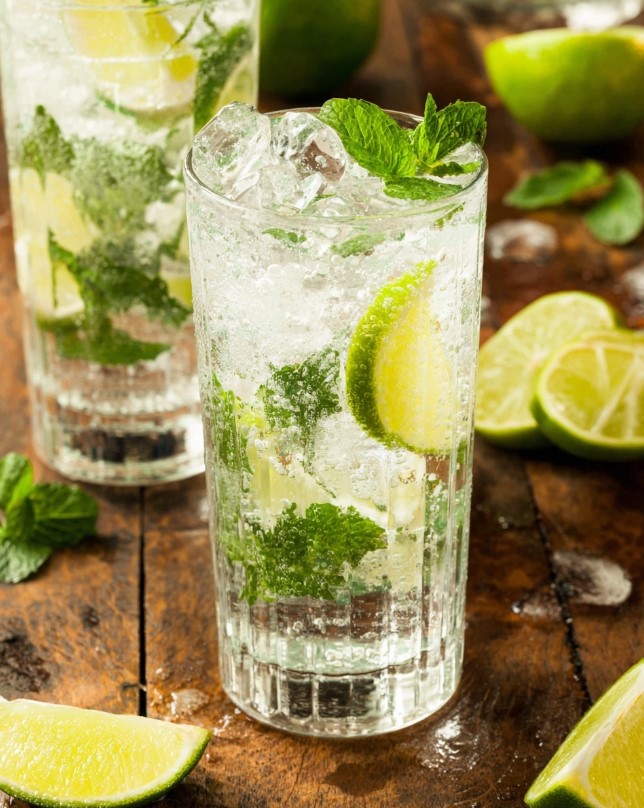 A sugar-free mint and lemon mojito ready to serve in a tall glass filled with ice and sparkling water, garnished with fresh mint leaves and lemon slices.